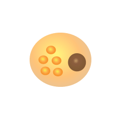 normal-cell normal-cell