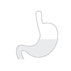 stomach stomach